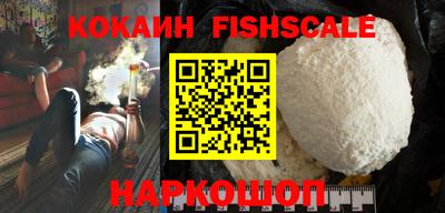 крисы Можга