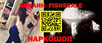крисы Можга