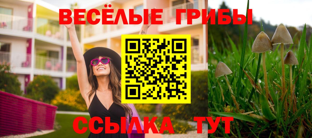 Псилоцибиновые грибы Psilocybine cubensis  Псилоцибиновые грибы Psilocybe  Янаул  наркошоп  Вход с VPN 